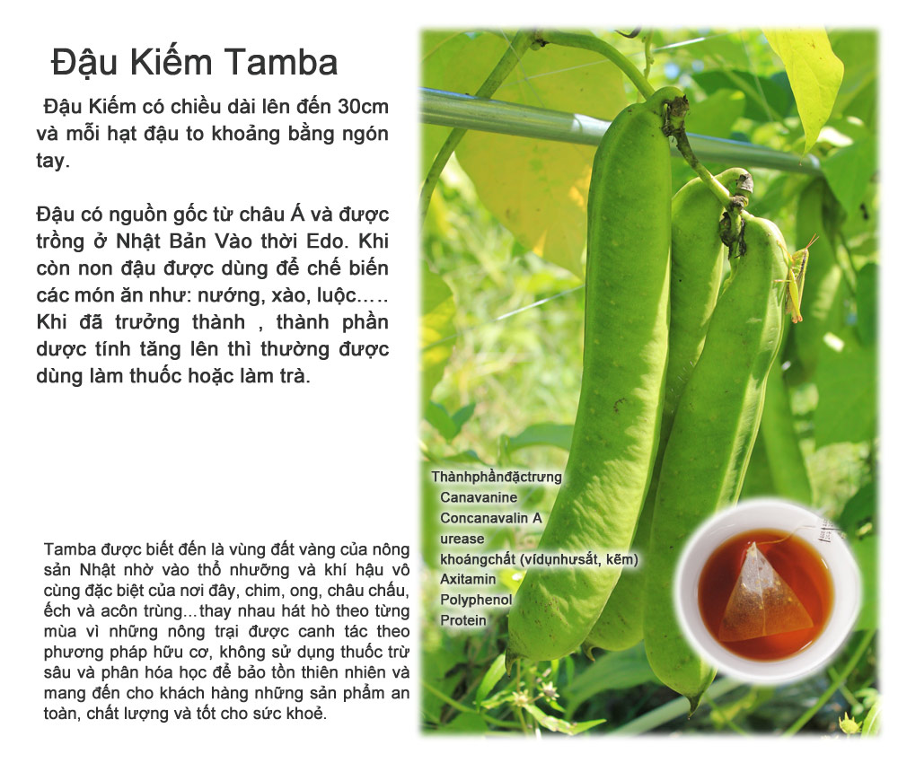 なたまめ　とは？