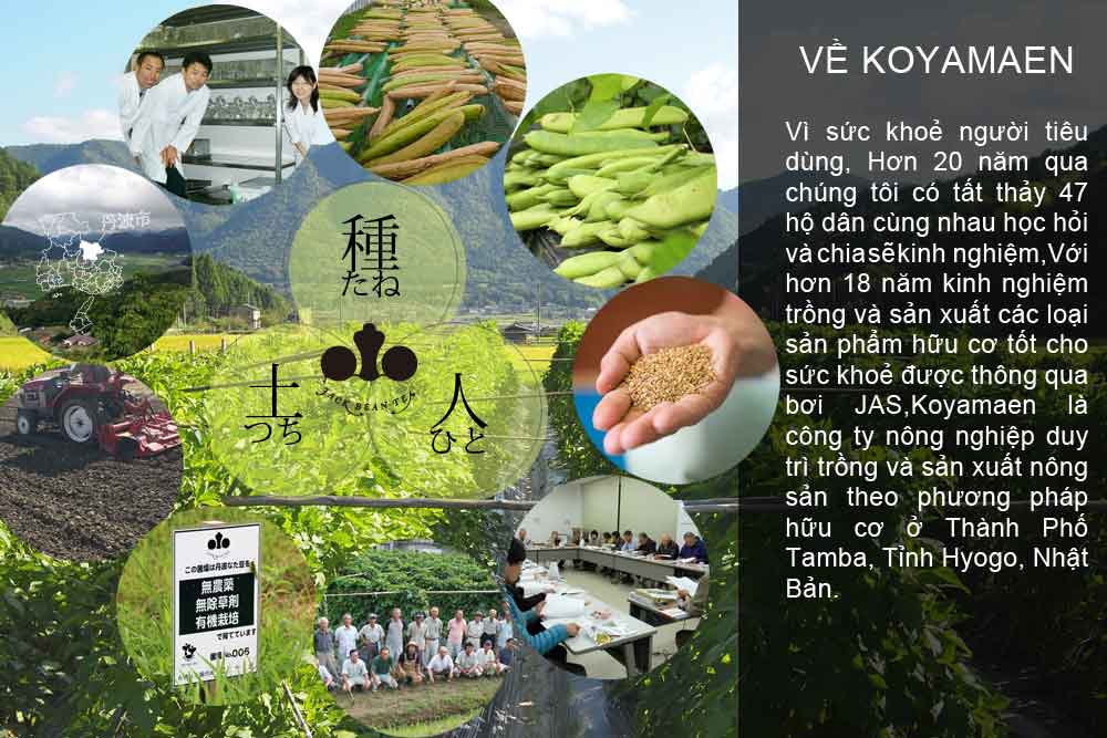 こやま園について